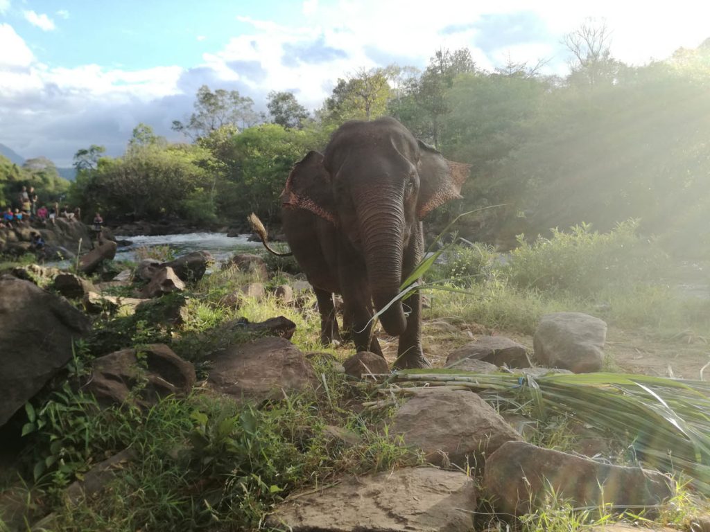La boucle des bolovens