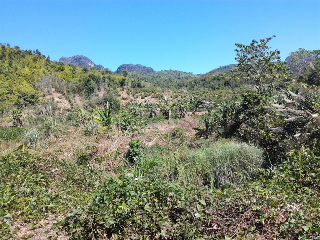 Vang Vieng