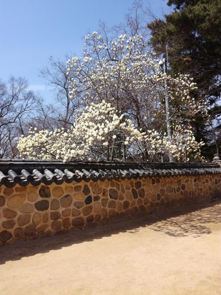 Bulguksa