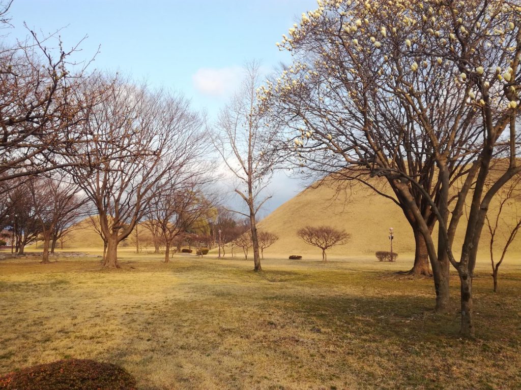 Parc des Tumulis de Daereungwon