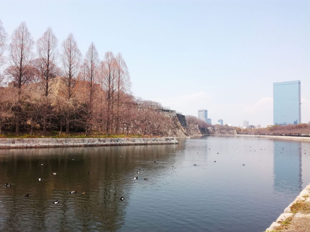 Chateau Osaka-jo